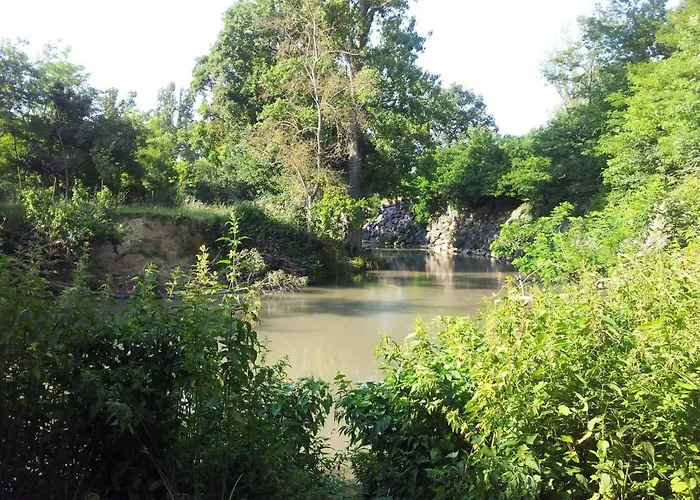 Chambre Calme Dans Un Lumineux ホームステイ トゥールーズ